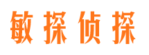 桑植市侦探调查公司